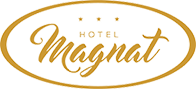 hotel-magnat-logo89